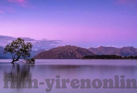 糖心app图片-探索糖心APP图片的独特魅力与影响