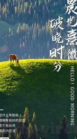 中国成人免费视频-中国成人教育新视角，网络视频资源在成人学习中的潜力